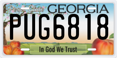GA license plate PUG6818