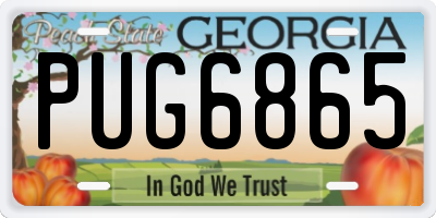 GA license plate PUG6865