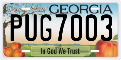 GA license plate PUG7003