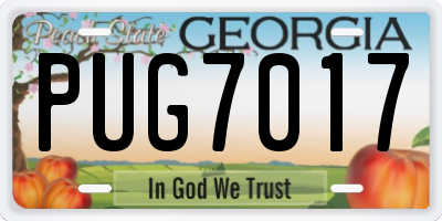 GA license plate PUG7017