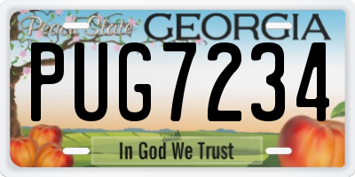 GA license plate PUG7234