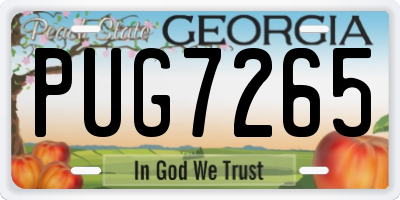 GA license plate PUG7265