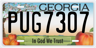 GA license plate PUG7307