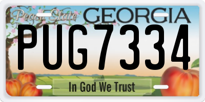 GA license plate PUG7334
