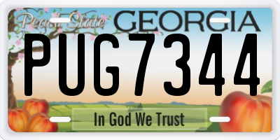 GA license plate PUG7344