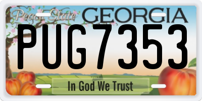 GA license plate PUG7353