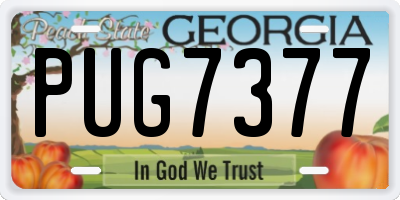 GA license plate PUG7377