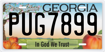 GA license plate PUG7899