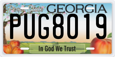 GA license plate PUG8019