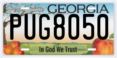 GA license plate PUG8050
