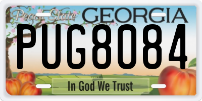 GA license plate PUG8084