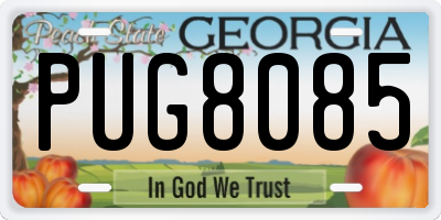 GA license plate PUG8085