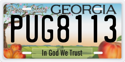 GA license plate PUG8113