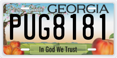 GA license plate PUG8181