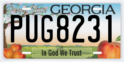 GA license plate PUG8231
