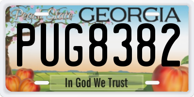 GA license plate PUG8382
