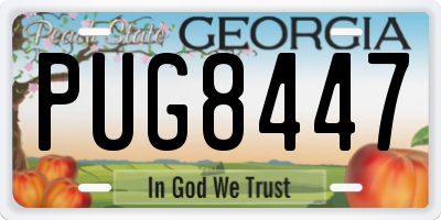 GA license plate PUG8447