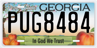 GA license plate PUG8484