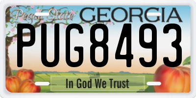 GA license plate PUG8493
