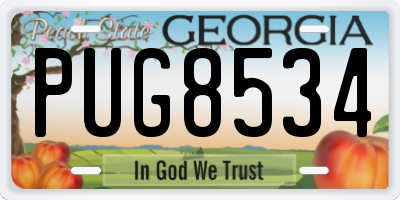 GA license plate PUG8534