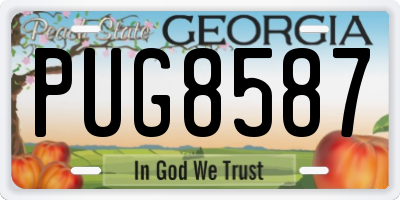 GA license plate PUG8587