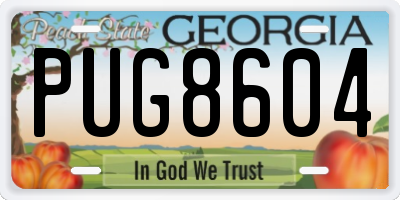 GA license plate PUG8604