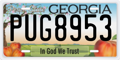 GA license plate PUG8953
