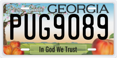 GA license plate PUG9089