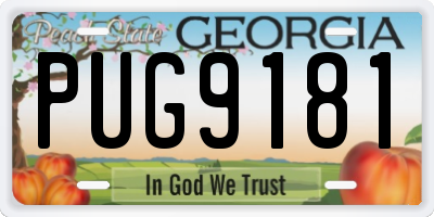 GA license plate PUG9181