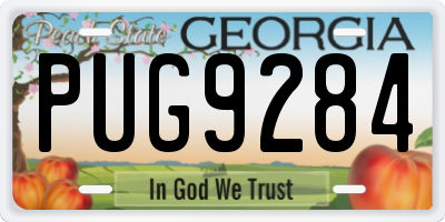 GA license plate PUG9284