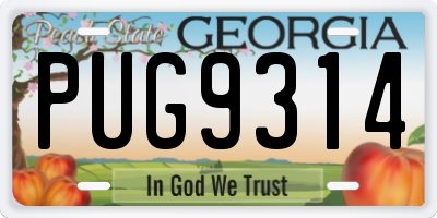 GA license plate PUG9314