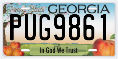GA license plate PUG9861