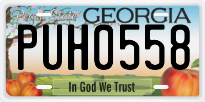 GA license plate PUH0558