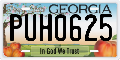GA license plate PUH0625