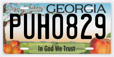 GA license plate PUH0829