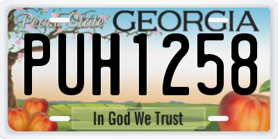GA license plate PUH1258