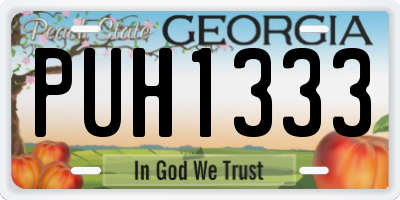 GA license plate PUH1333