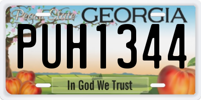 GA license plate PUH1344