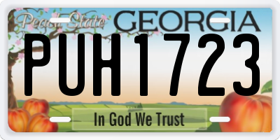 GA license plate PUH1723