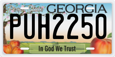 GA license plate PUH2250