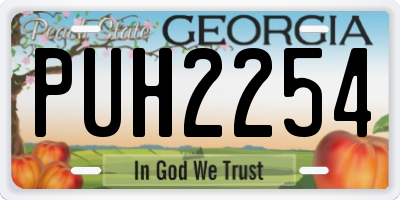 GA license plate PUH2254