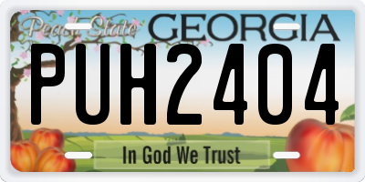GA license plate PUH2404