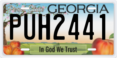 GA license plate PUH2441