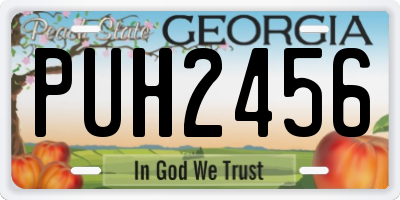 GA license plate PUH2456