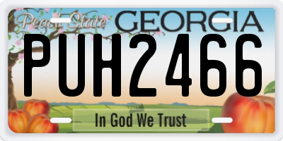 GA license plate PUH2466