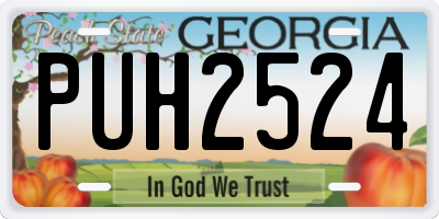 GA license plate PUH2524
