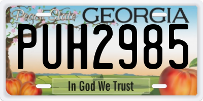 GA license plate PUH2985