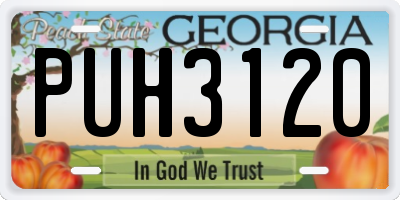 GA license plate PUH3120