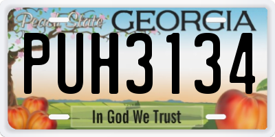 GA license plate PUH3134