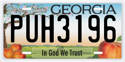 GA license plate PUH3196